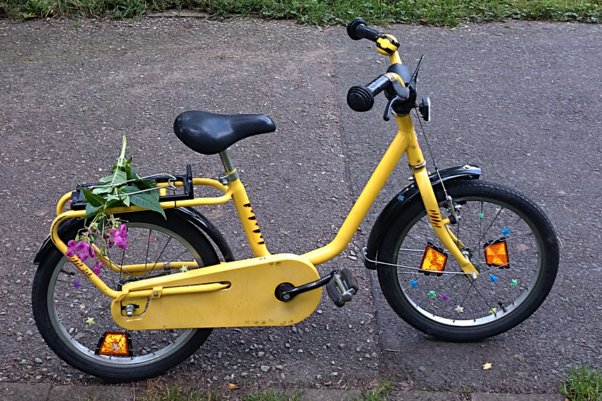 Kinderrad mit Blume Kinderrad mit Blume auf Radweg an Wiese