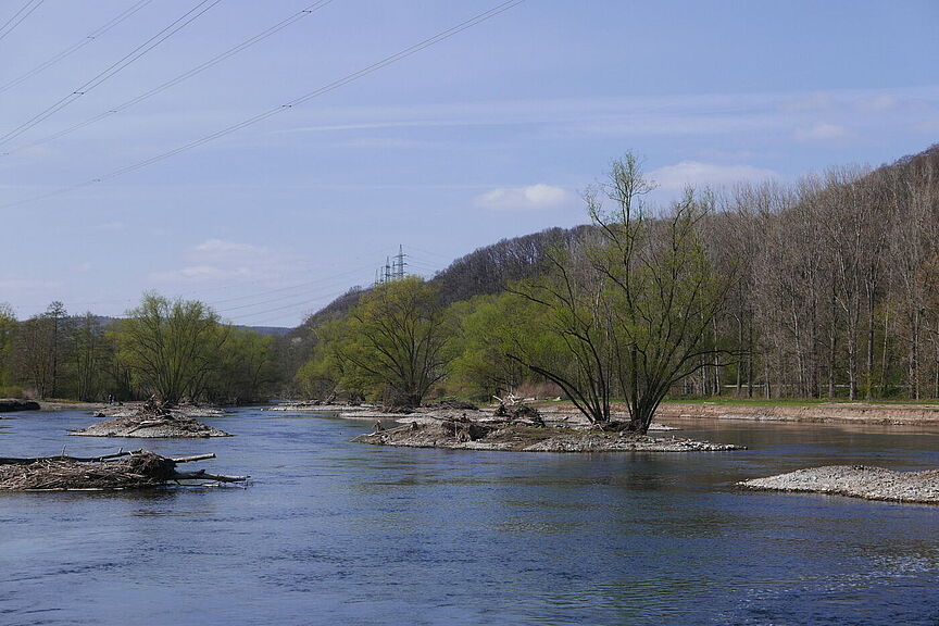 Lennerenaturierung Lennerenaturierung